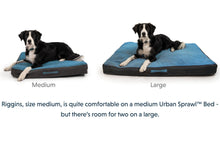 Load image into Gallery viewer, Urban Sprawl™ Dog Bed
