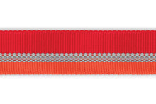 Load image into Gallery viewer, Slackline™ Leash (2017)