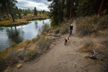 Load image into Gallery viewer, Track Jacket™ Reflective Dog Vest