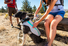 Load image into Gallery viewer, Swamp Cooler™ Dog Cooling Vest