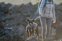 Load image into Gallery viewer, Front Range™ Dog Leash
