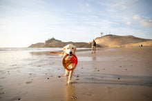 Load image into Gallery viewer, Pacific Ring™ Toy