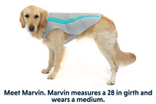 Load image into Gallery viewer, Swamp Cooler™ Dog Cooling Vest
