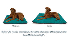 Load image into Gallery viewer, Mt. Bachelor Pad™ Portable Dog Bed
