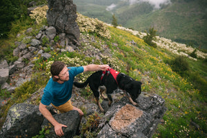Flagline™ Dog Harness with Handle