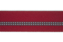 Load image into Gallery viewer, Ruffwear Talon Hook™ Belt
