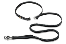 Load image into Gallery viewer, Roamer™ Bungee Dog Leash
