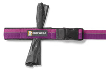 Load image into Gallery viewer, Roamer™ Bungee Dog Leash
