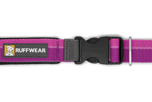 Load image into Gallery viewer, Roamer™ Bungee Dog Leash
