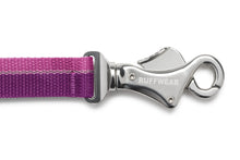 Load image into Gallery viewer, Roamer™ Bungee Dog Leash
