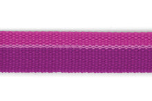 Load image into Gallery viewer, Roamer™ Bungee Dog Leash
