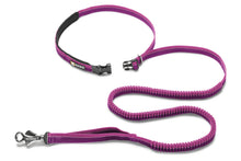 Load image into Gallery viewer, Roamer™ Bungee Dog Leash
