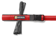 Load image into Gallery viewer, Roamer™ Bungee Dog Leash
