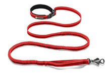 Load image into Gallery viewer, Roamer™ Bungee Dog Leash
