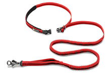 Load image into Gallery viewer, Roamer™ Bungee Dog Leash

