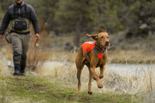 Load image into Gallery viewer, Track Jacket™ Reflective Dog Vest
