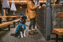 Load image into Gallery viewer, Stumptown™ Jacket
