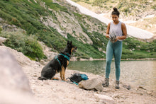 Load image into Gallery viewer, Highlands™ Dog Pad
