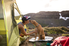 Load image into Gallery viewer, Highlands™ Dog Pad
