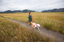 Load image into Gallery viewer, Front Range® Dog Harness

