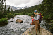 Load image into Gallery viewer, Front Range® Dog Harness
