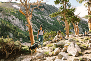 Front Range™ Dog Leash