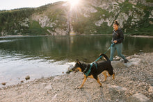 Load image into Gallery viewer, Front Range® Dog Harness
