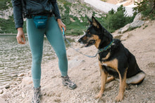 Load image into Gallery viewer, Quick Draw™ Leash
